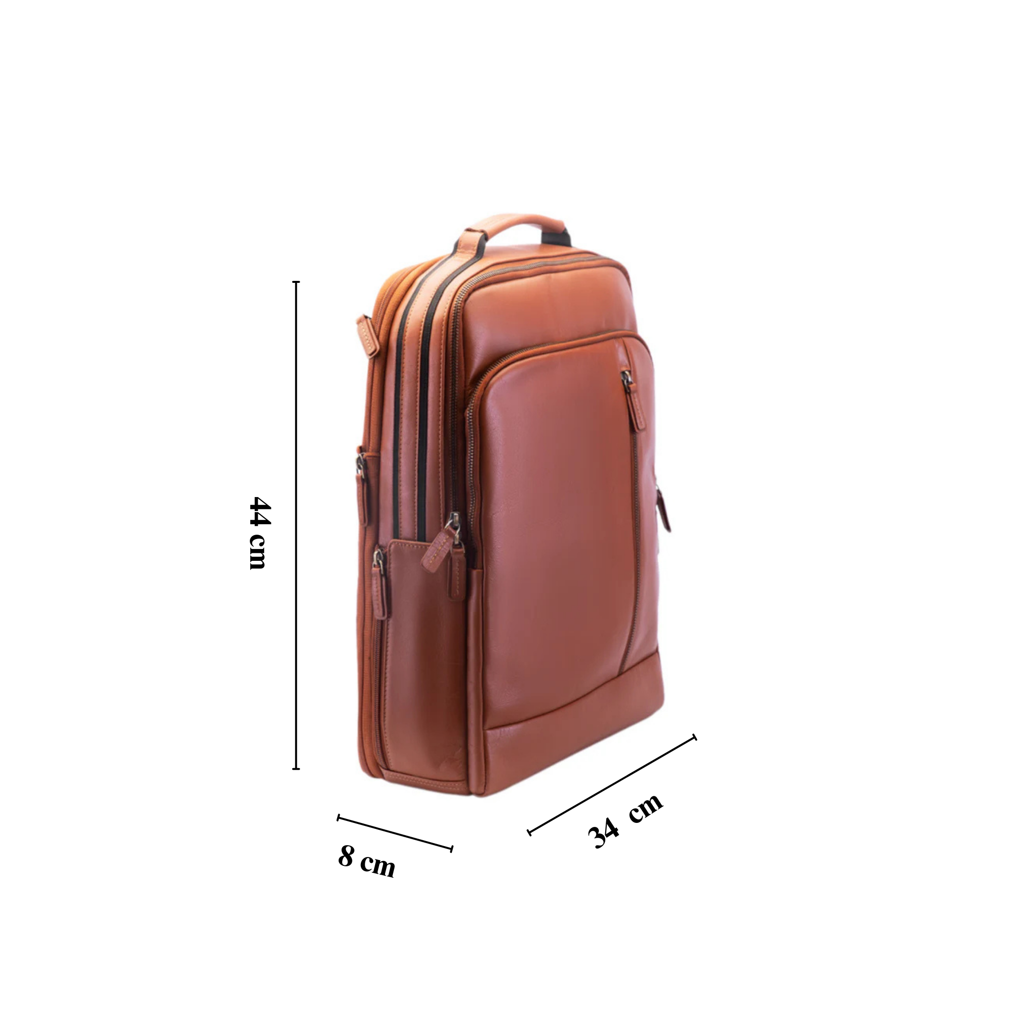 Compartmental Cruiser, The Laptop Bag