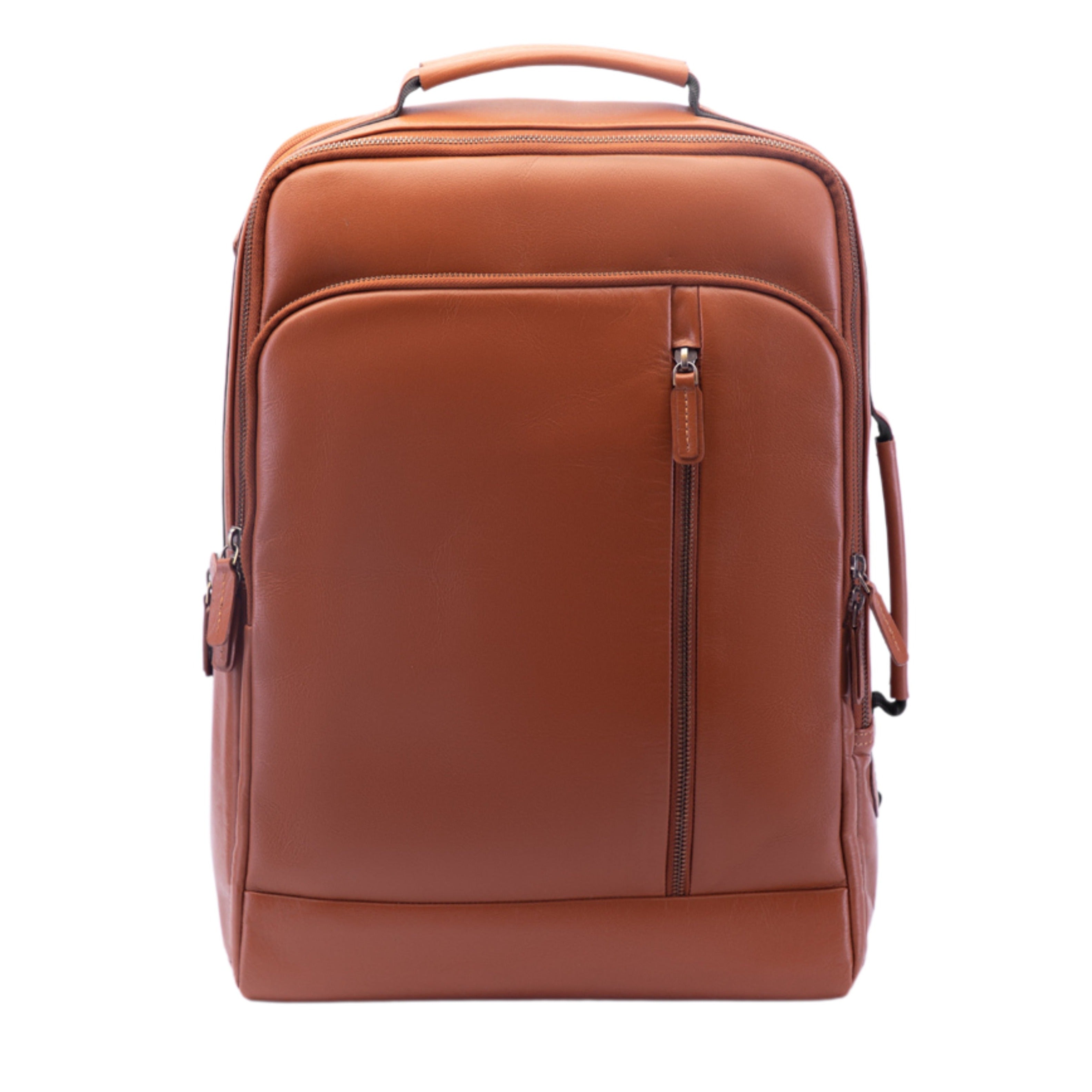 Compartmental Cruiser, The Laptop Bag - The Pammis